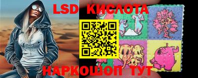герыч Кингисепп