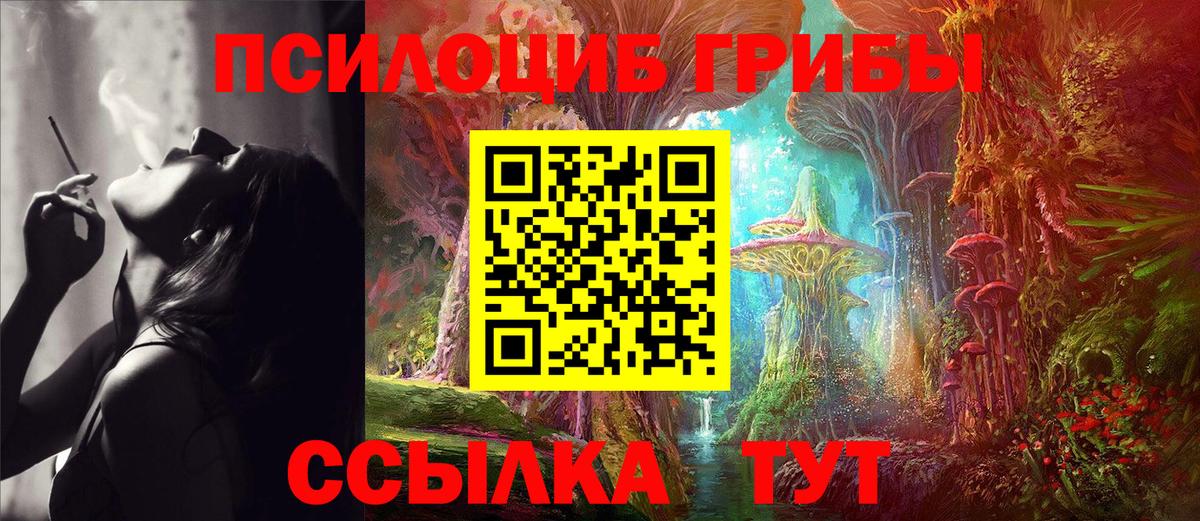 Псилоцибиновые грибы мицелий Ейск