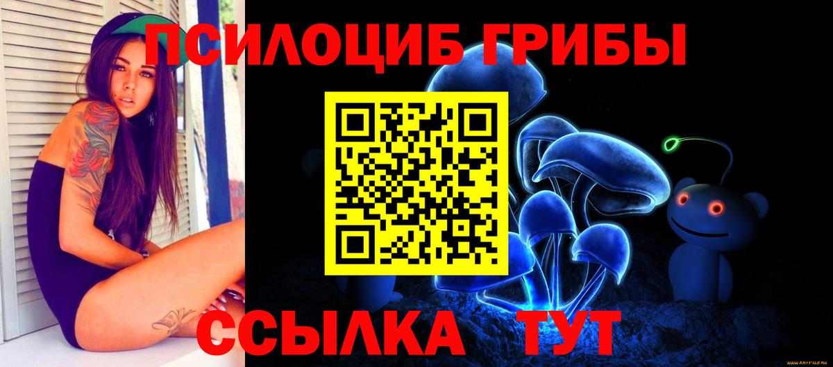 Ейск  Псилоцибиновые грибы ЛСД  купить закладку  Вход с VPN 