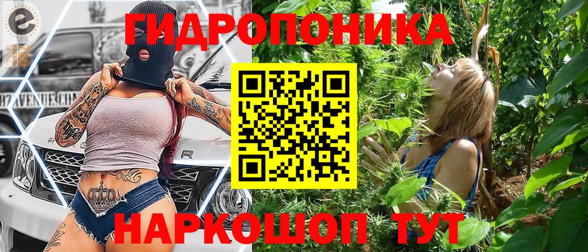 Ейск  Конопля марихуана  Вход с VPN  Каннабис сатива  Шишки марихуана OG Kush 